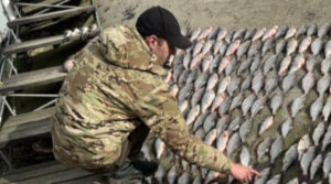 На Рівненщині браконьєр наловив риби майже на 350 тисяч гривень