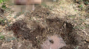 На Прикарпатті двоє рецидивістів вбили 36-річного чоловіка і закопали в лісі