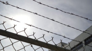 На Прикарпатті засудили жінку за спробу вбивства 12-річної дівчинки та викрадення двох дітей